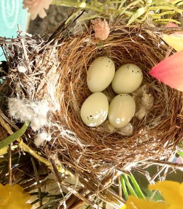 A house finch makes her nest