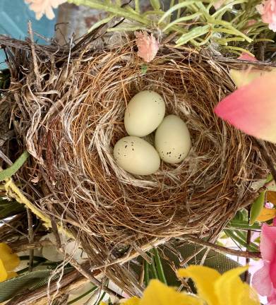 A house finch makes her nest