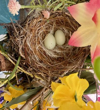 A house finch makes her nest