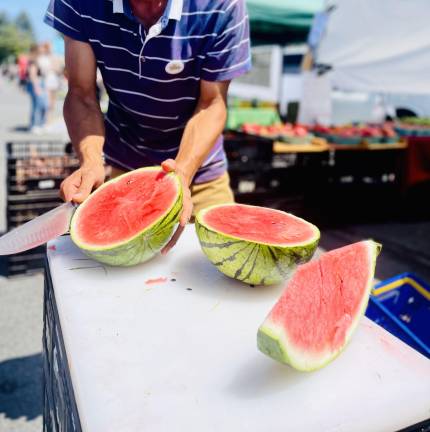 <b>Revealing</b>, 2023 — Beacon Farmers’ Market (Great Joy Family Farm)
