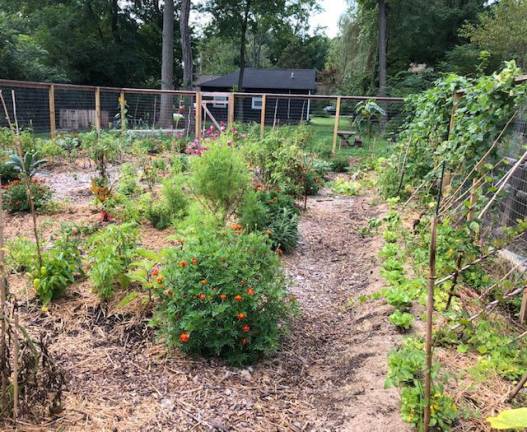 In a single season, an empty lot transformed into a thriving garden.