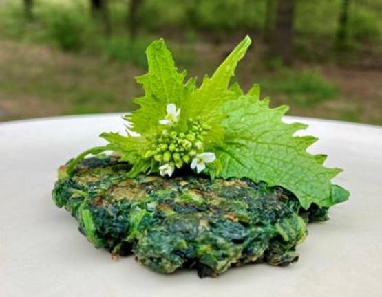Nettle patty