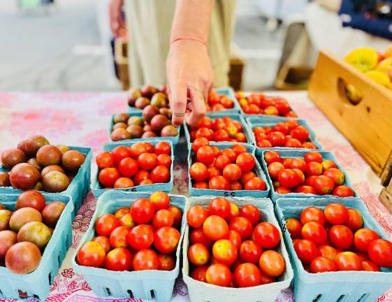 <b>Selecting</b>, 2024 — Beacon Farmers’ Market (Common Ground Farm)