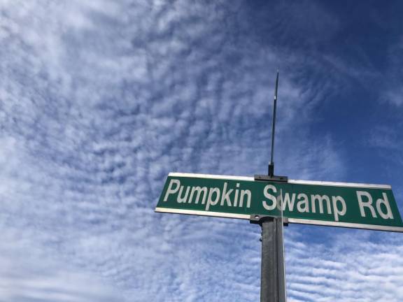 Local historian and onion farmer John Ruszkiewicz remembers, as a 9-year-old, seeing POWs working his family’s fields on Pumpkin Swamp Road in Florida, NY.