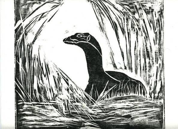 <i>A visitor</i>