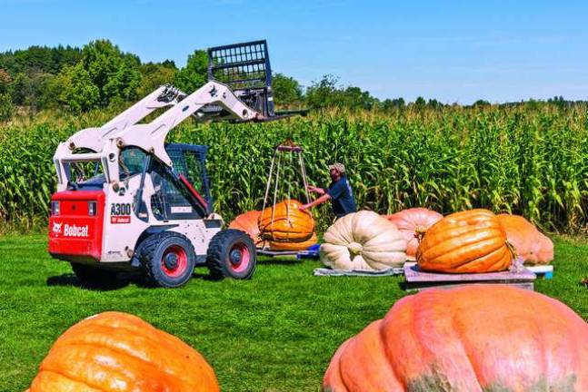 157.5-pound pumpkin breaks NYS record