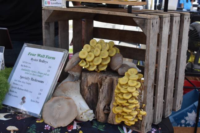 Oyster mushrooms at the 4 Wall Farm stand at the Beacon Farmers Market