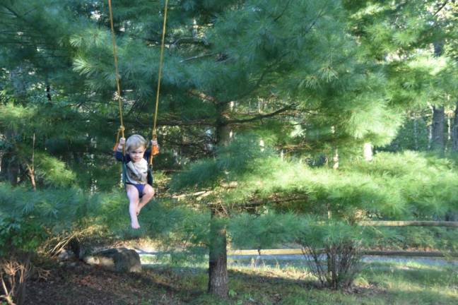 Dion has his own baby swing on a nearby branch, but he prefers bombing on his big sister’s.
