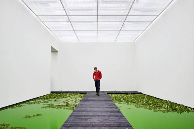 Eliasson turned a Swiss museum’s interior into an actual natual landscape for his installation, <i>Life </i>(2021), by flooding the interior and filling it with water plants.