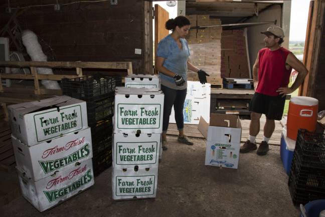 Stiles Najak (left) picking up produce from Jeff Bialas (right) of J&amp;A Farm in Goshen on Thursday afternoon