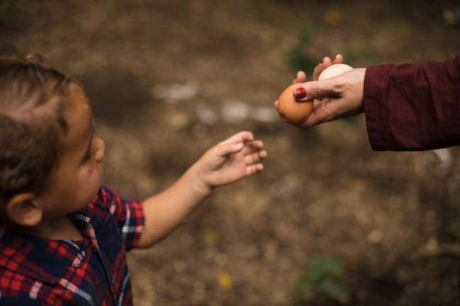Diane Aboushi hands an egg to Noah, 2. Aboushi became concerned with humane animal treatment after reading <i>Fast Food Nation</i>.