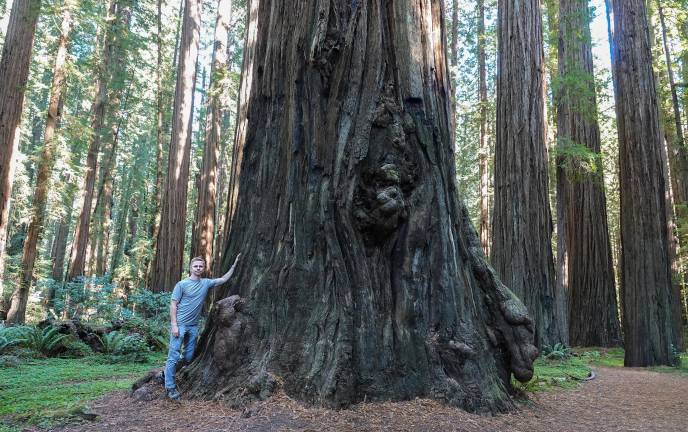 Harita with a giant redwood, as part of his immersion in old-growth forests.