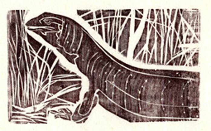 <i>Goanna</i>
