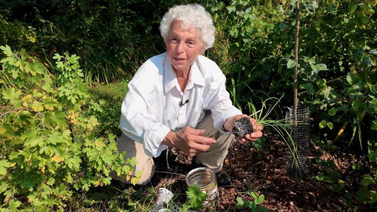 Dani Baker demonstrates planting chives in her temperate food forest in Northern NY State