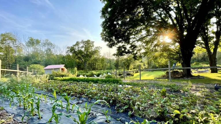 Venjara’s garden is a funny shape because she let the land tell her where to build it.