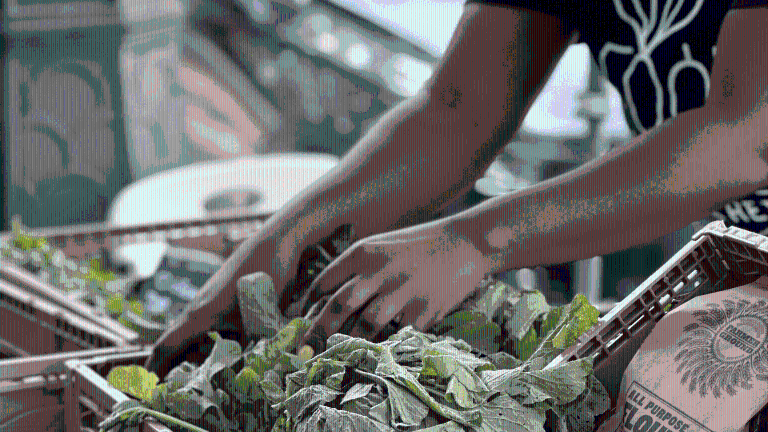 A volunteer at the Corbin Hill farmstand.
