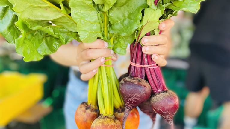 <b>Offering</b>, 2025 — Beacon Farmers’ Market (Long Season Farm)