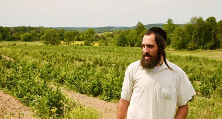 “It’s a very radical thing, especially in the Hassidic world, to just go off and live on a farm.” - Bass