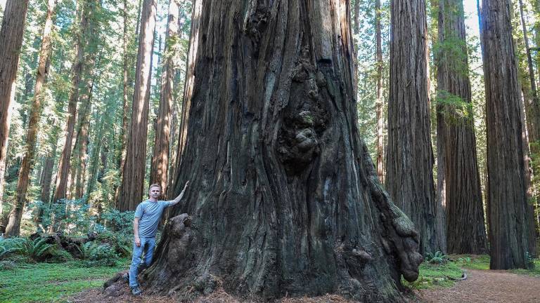 Harita with a giant redwood, as part of his immersion in old-growth forests.
