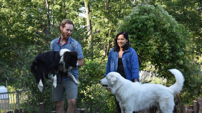 Pat Scott and Soham Dhesi with dogs Kimchi and Pickles. Fermentation is a major theme on their homestead.