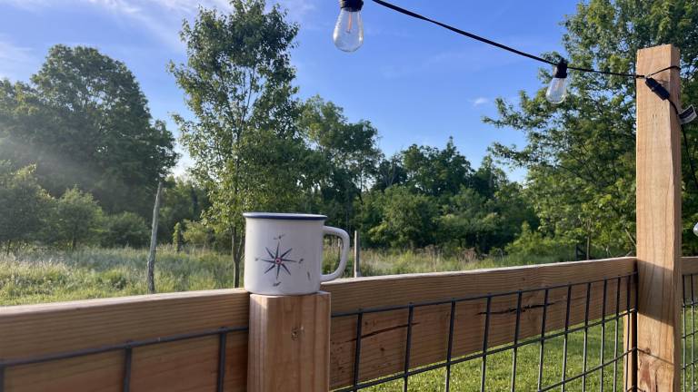 The art of tending less
