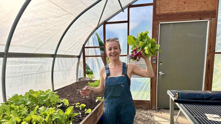 The season’s first harvest of breakfast radish