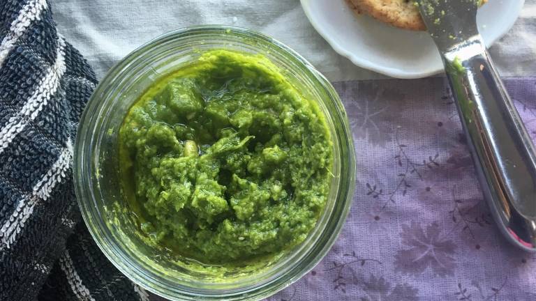 Spring wild pesto has become an annual tradition in the writer’s house.
