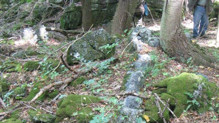 On a remote, rocky hill along the Wallkill River, the Kittatinny Limestone is interspersed with thick bands of blue-gray chert, perfect for making the gun-flints that powered the Revolutionary War.